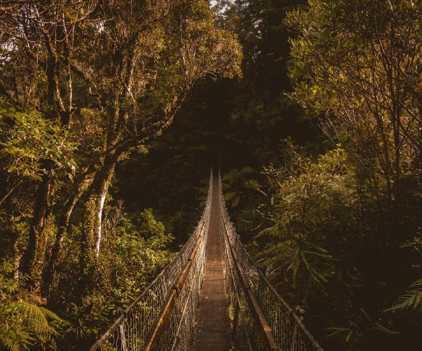 Businesses in Melbourne are thriving with the help of innovative software applications. From streamlining operations to enhancing customer experiences, software apps are revolutionizing the way Melbourne-based companies operate. In this bustling city known for its dynamic business environment, embracing technology is key to staying ahead of the competition.